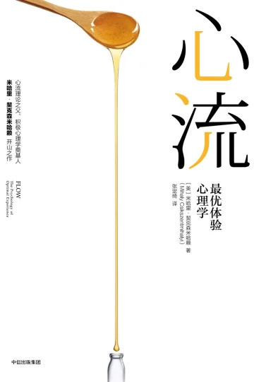 《心流：最优体验心理学》封面
