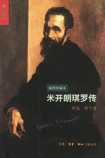 《米开朗琪罗传》封面