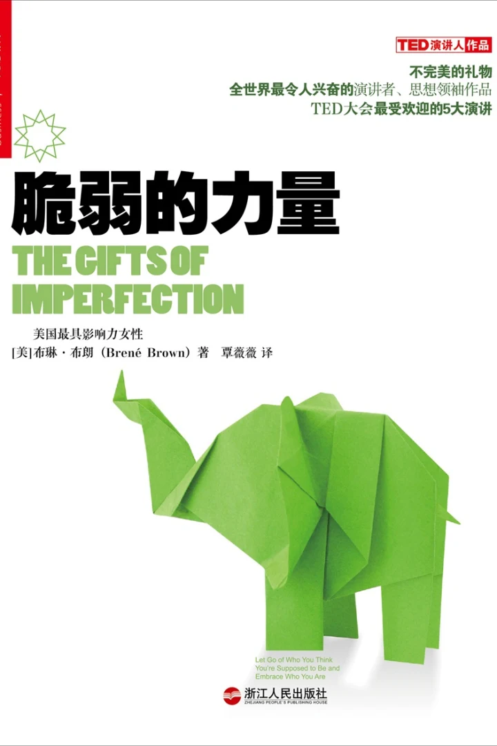 《脆弱的力量》真实书籍封面