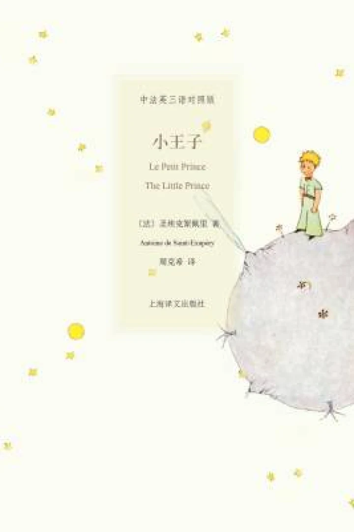 《小王子》真实书籍封面