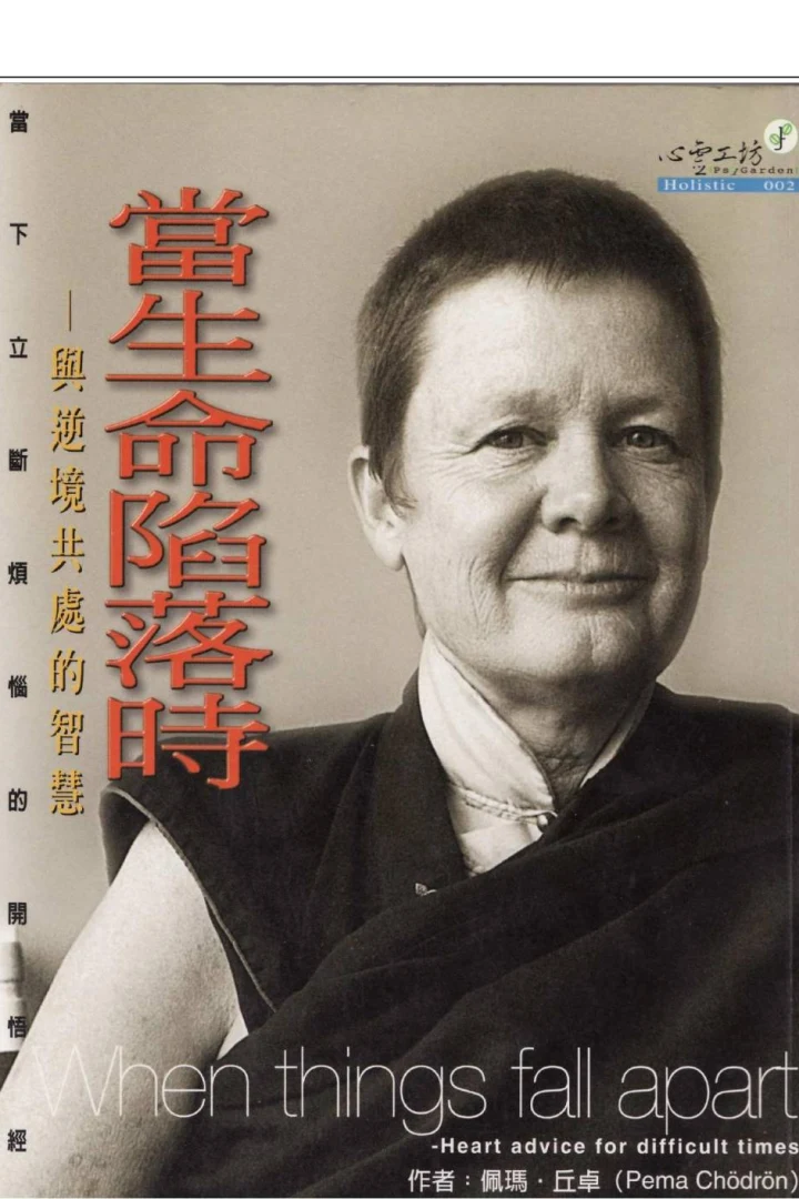 《当生命陷落时》真实书籍封面