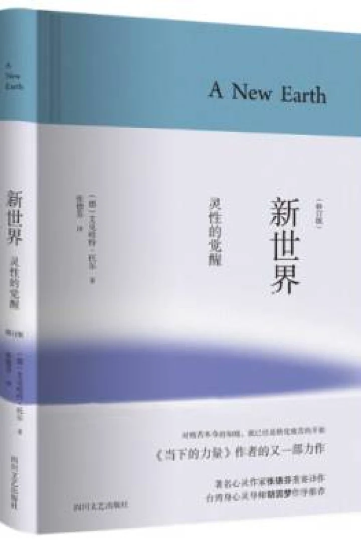 《新世界:灵性的觉醒》真实书籍封面